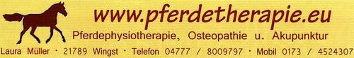 Banner download Pferdetherapie